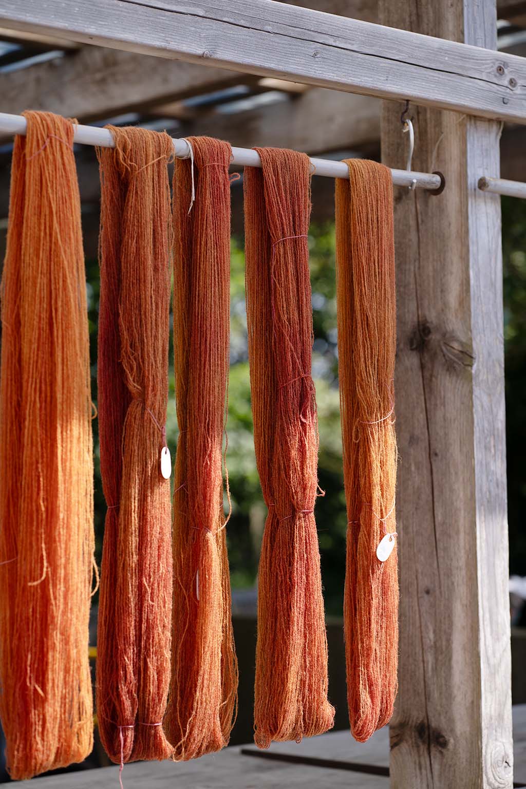 Plantefarvet garn, der hænger til tørre.